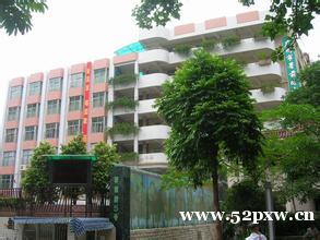 广州市署前路小学怎么样