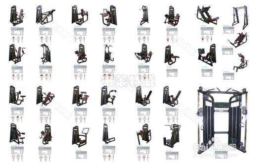 ��������ѵ����