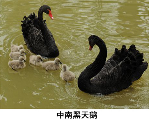 ���ϴ�ѧ�����