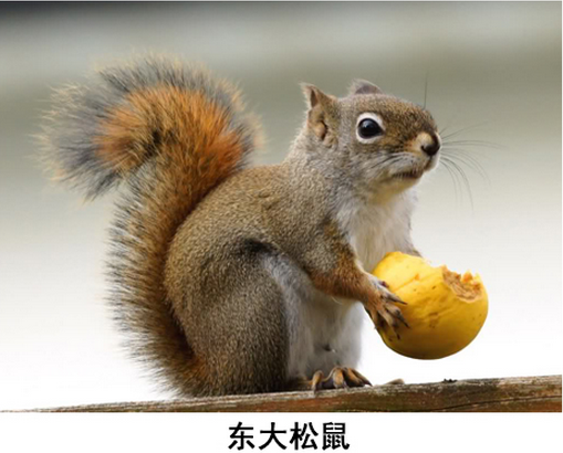  ���ϴ�ѧ����