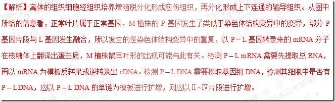clip_image032