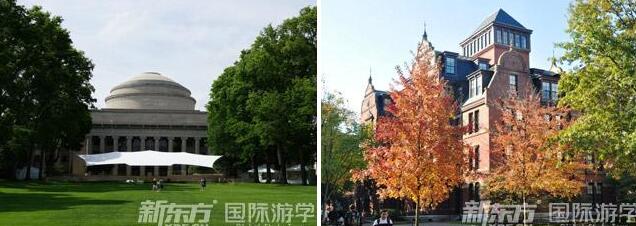 宁波美国留学夏令营,哈佛大学毛里求斯世界公民培养计划 宁波美国留学夏令营,哈佛大学毛里求斯世界公民培养计划