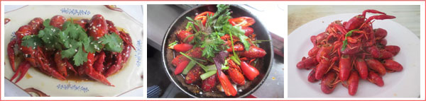 赣州哪里有香辣小龙虾培训班 赣州哪里有香辣小龙虾培训班