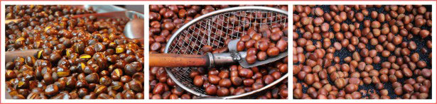 �����ǳ�������ѵ��