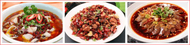 ��ݸ�������д�����ѵ��