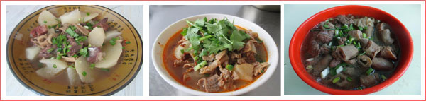 ����ɳ���ܲ�ţ����ѵ��