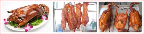 ����������ʽ������ѵ��