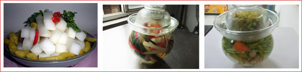 ������ʽ�ݲ���ѵ��