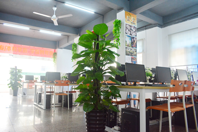 �߈�ƽ�����ѧϰ���ĸ���