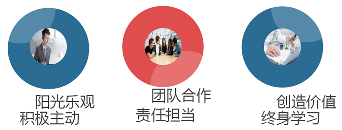 普陀区BIM培训哪好