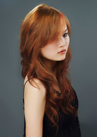 ���ڱ���������������ѵ