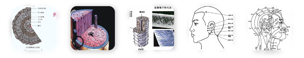 �������������������γ���ѵ