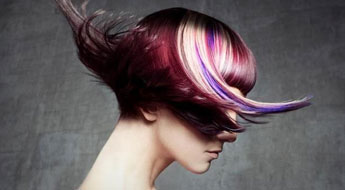 肇庆美发师*班地址在哪 肇庆美发师*班地址在哪