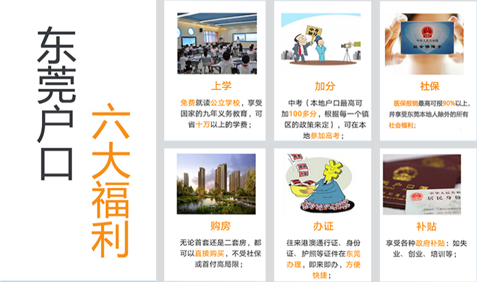 ��ݸ�����˲��뻧��֤���ö���