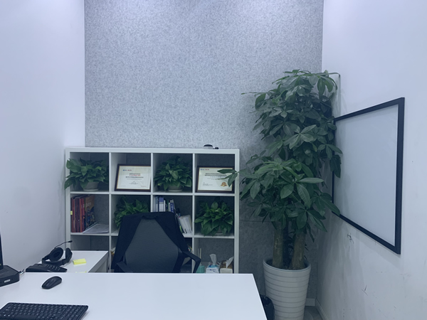 ��������������Ӣ����ѵ�ĸ�רҵ