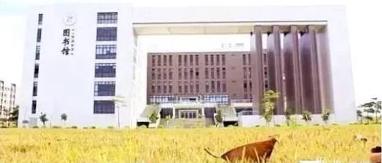 �㶫�ڶ�ʦ��ѧԺ��������ר������ݸѧ������