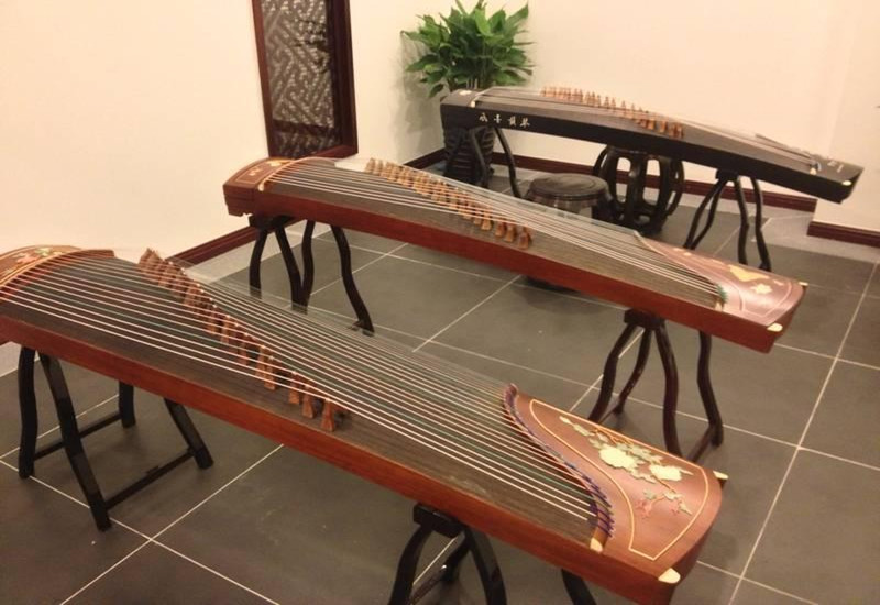 �����ٶ�������ѵ