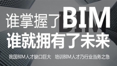 BIMѵ