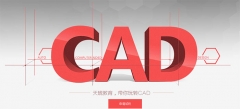 麣CADͼ֤ѵ