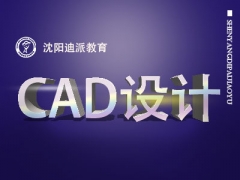 CADʵٽС2ѧCAD