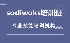 ϺSolidWorksѵ