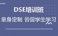 DSEѵ