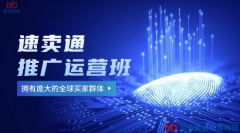 东莞东城区速卖通推广运营培训班哪家好