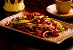 ��������ѵ��������