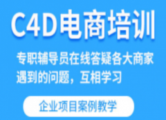 ����������C4D������ѵ��������