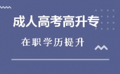 ��ݸݸ�������˸߿�����ר��ѵ��������